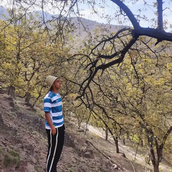Photos of Azzaden Valley 2