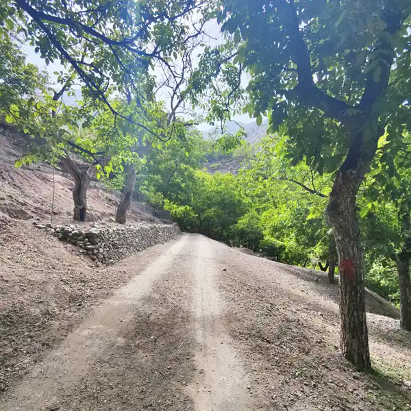 Photos of Azzaden Valley 10
