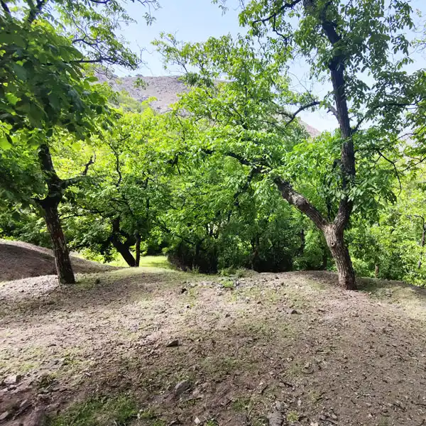 Photos of Azzaden Valley 12
